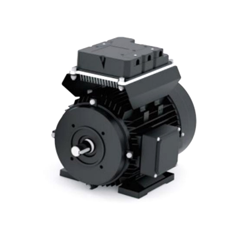 WS132 DC Permanent Magnet Motor WS132 DC Permanent Magnet Motor