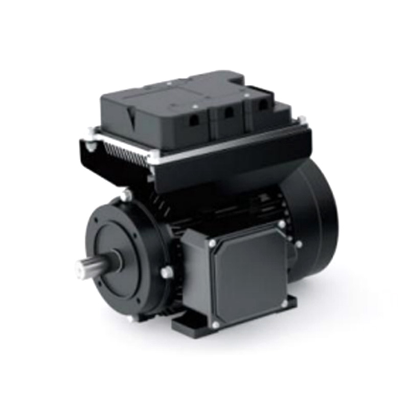 WS100 DC Permanent Magnet Motor WS100 DC Permanent Magnet Motor