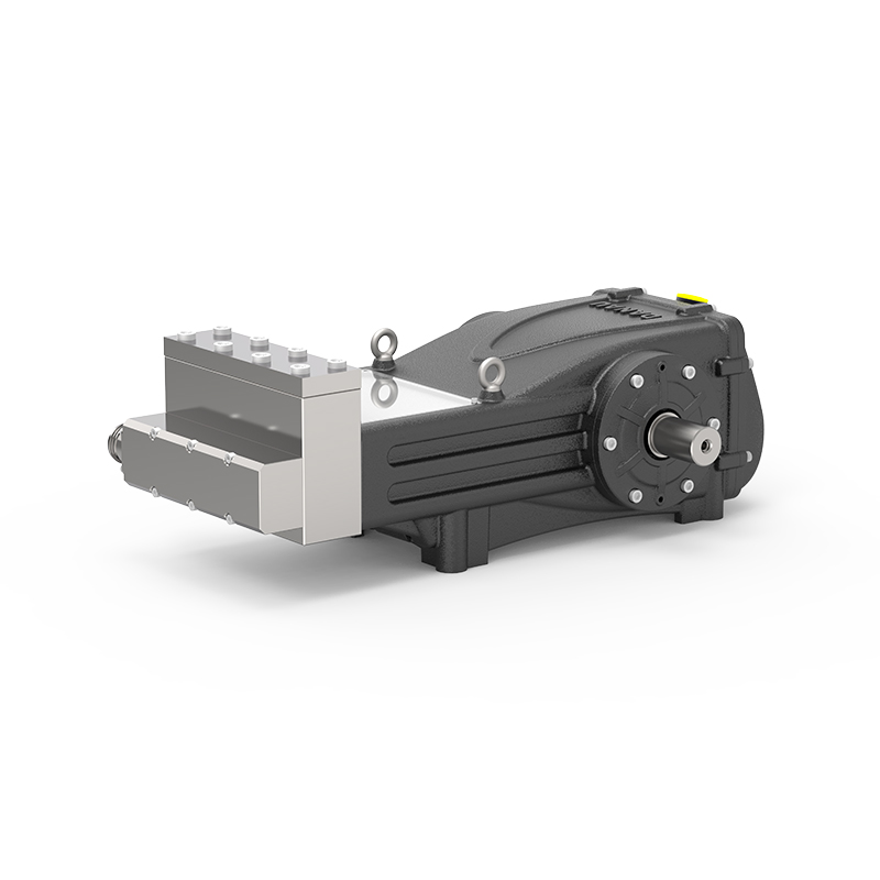 DBS Series Industrial Plunger Pump DBS Series Industrial Plunger Pump